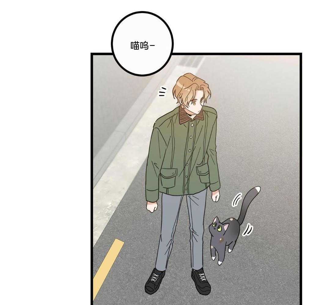 《我唯一的猫猫》漫画最新章节第32话免费下拉式在线观看章节第【38】张图片