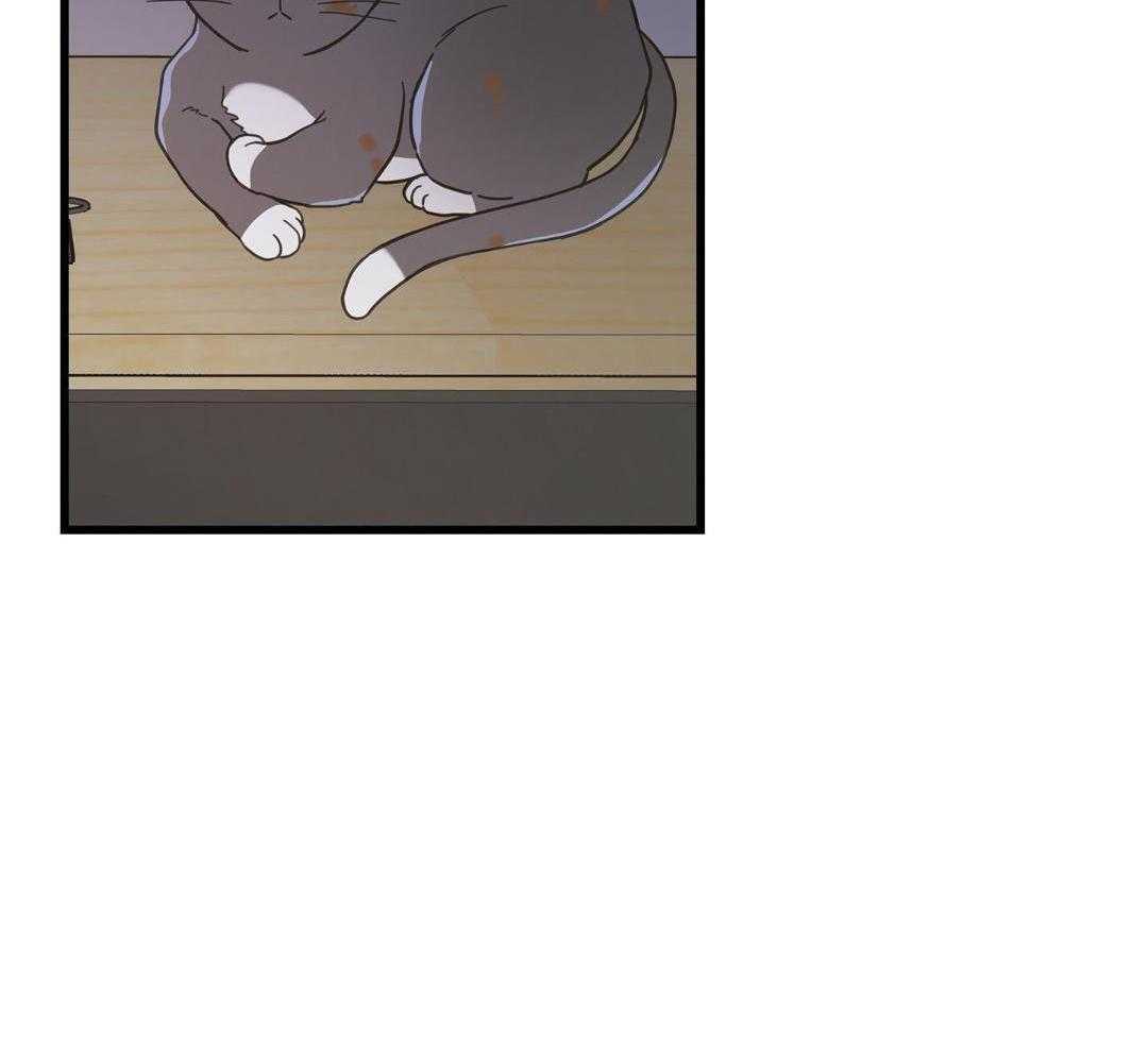 《我唯一的猫猫》漫画最新章节第37话免费下拉式在线观看章节第【12】张图片