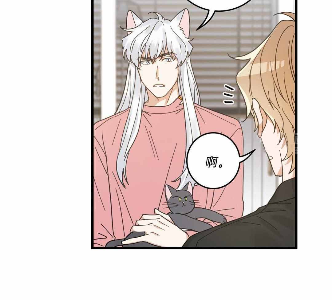 《我唯一的猫猫》漫画最新章节第40话免费下拉式在线观看章节第【22】张图片