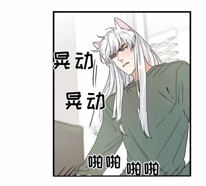 《我唯一的猫猫》漫画最新章节第30话免费下拉式在线观看章节第【15】张图片