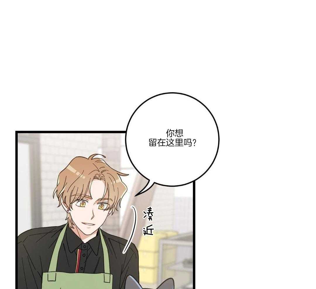 《我唯一的猫猫》漫画最新章节第37话免费下拉式在线观看章节第【38】张图片