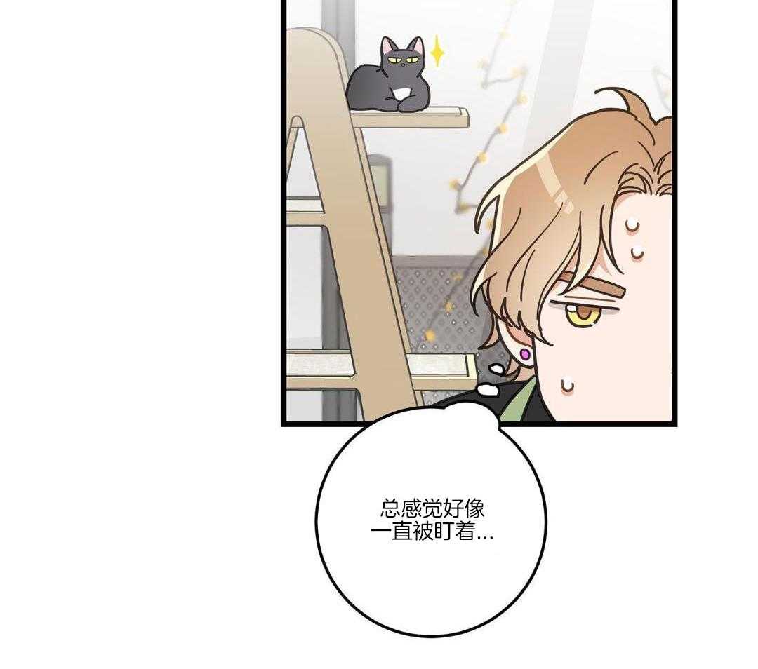 《我唯一的猫猫》漫画最新章节第38话免费下拉式在线观看章节第【15】张图片