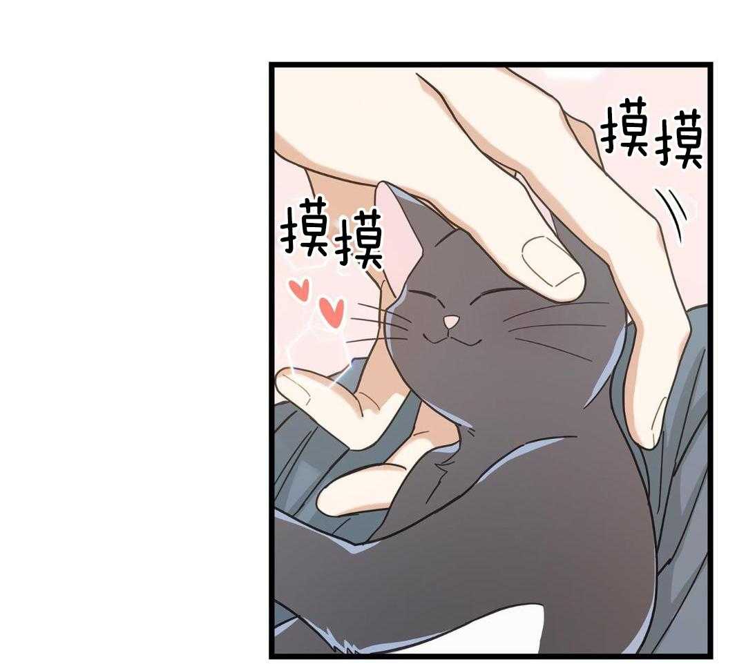 《我唯一的猫猫》漫画最新章节第40话免费下拉式在线观看章节第【18】张图片