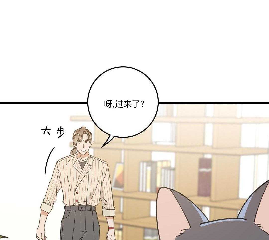 《我唯一的猫猫》漫画最新章节第58话免费下拉式在线观看章节第【27】张图片