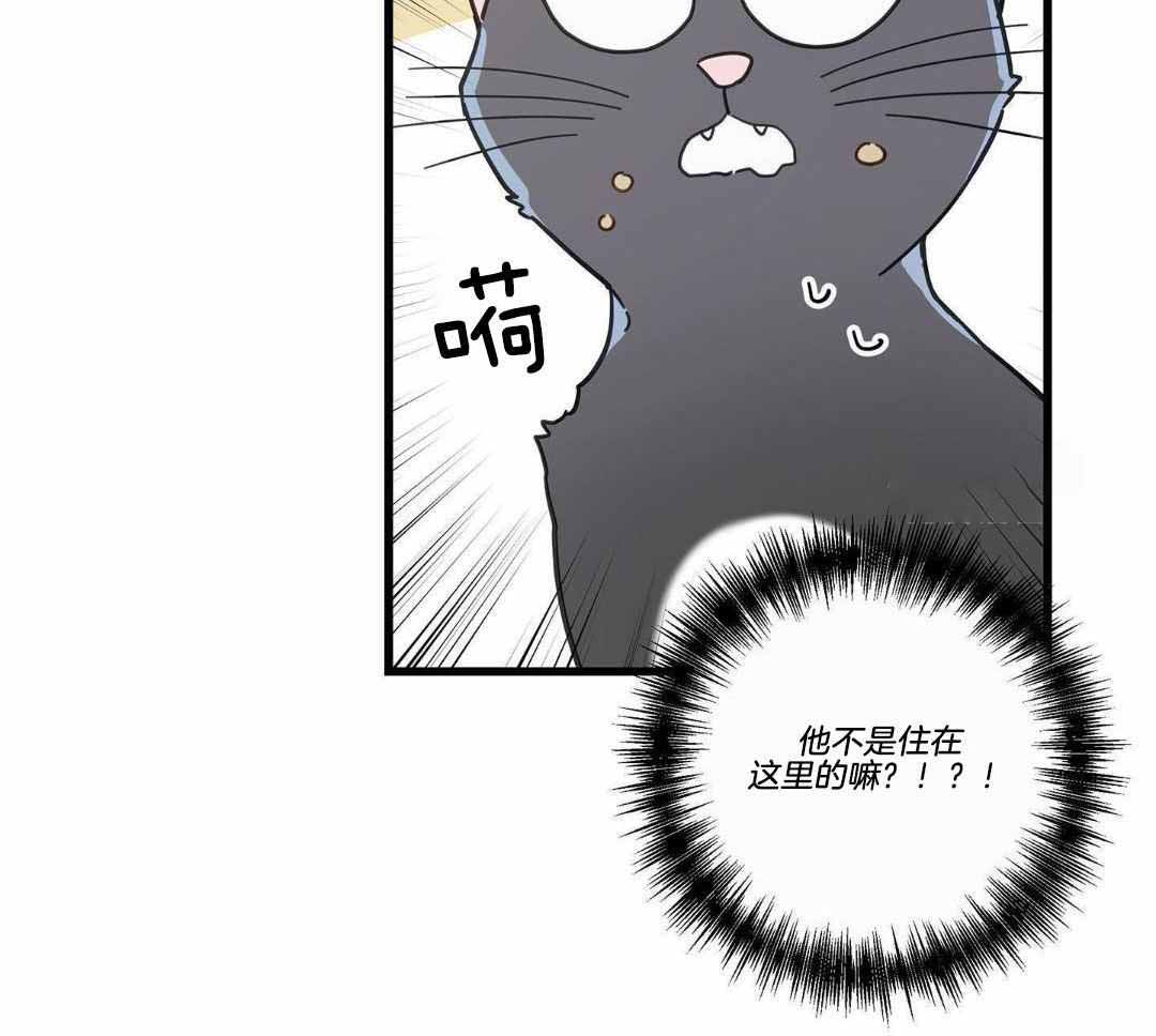 《我唯一的猫猫》漫画最新章节第35话免费下拉式在线观看章节第【29】张图片