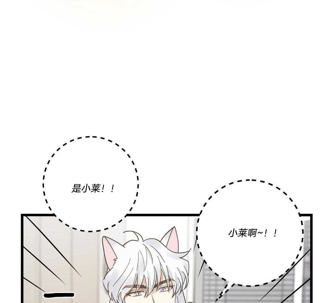 《我唯一的猫猫》漫画最新章节第39话免费下拉式在线观看章节第【38】张图片