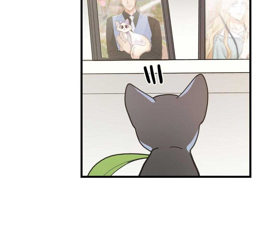 《我唯一的猫猫》漫画最新章节第58话免费下拉式在线观看章节第【23】张图片