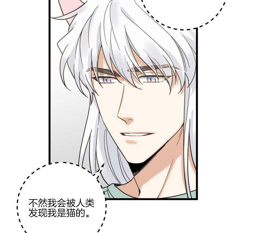 《我唯一的猫猫》漫画最新章节第46话免费下拉式在线观看章节第【9】张图片