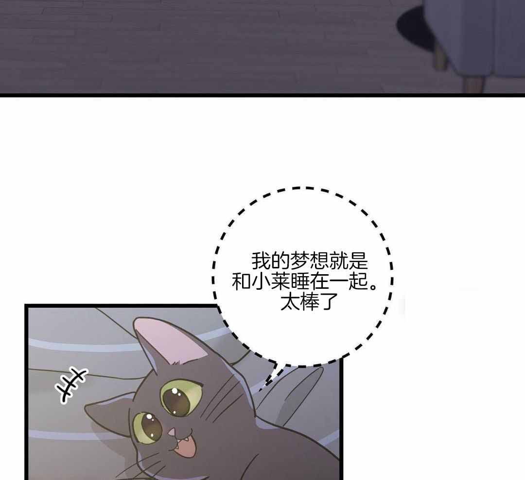 《我唯一的猫猫》漫画最新章节第42话免费下拉式在线观看章节第【5】张图片