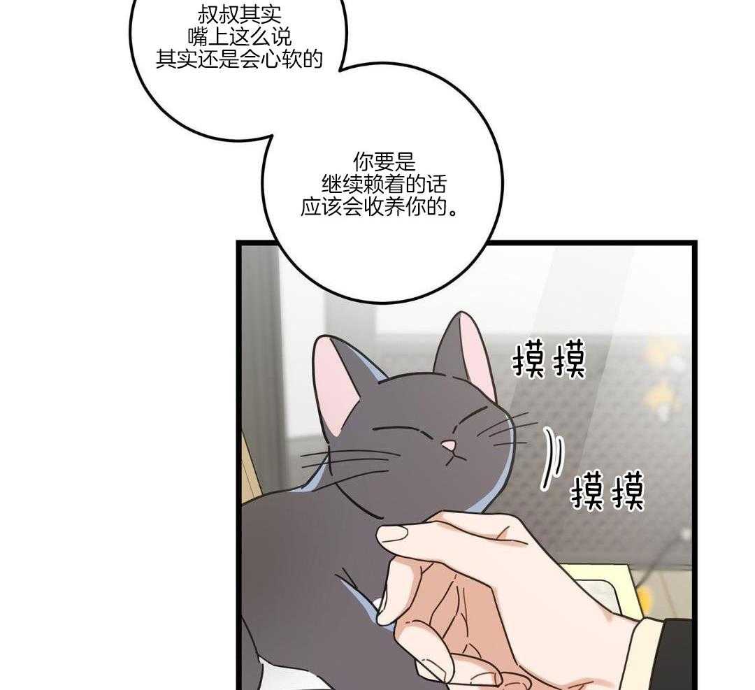 《我唯一的猫猫》漫画最新章节第37话免费下拉式在线观看章节第【40】张图片