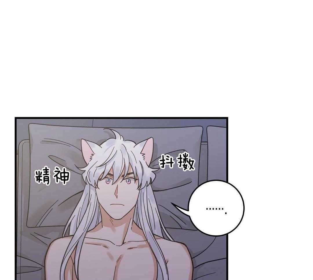 《我唯一的猫猫》漫画最新章节第53话免费下拉式在线观看章节第【17】张图片