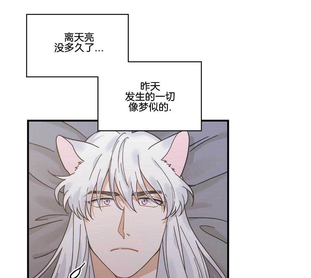 《我唯一的猫猫》漫画最新章节第53话免费下拉式在线观看章节第【23】张图片