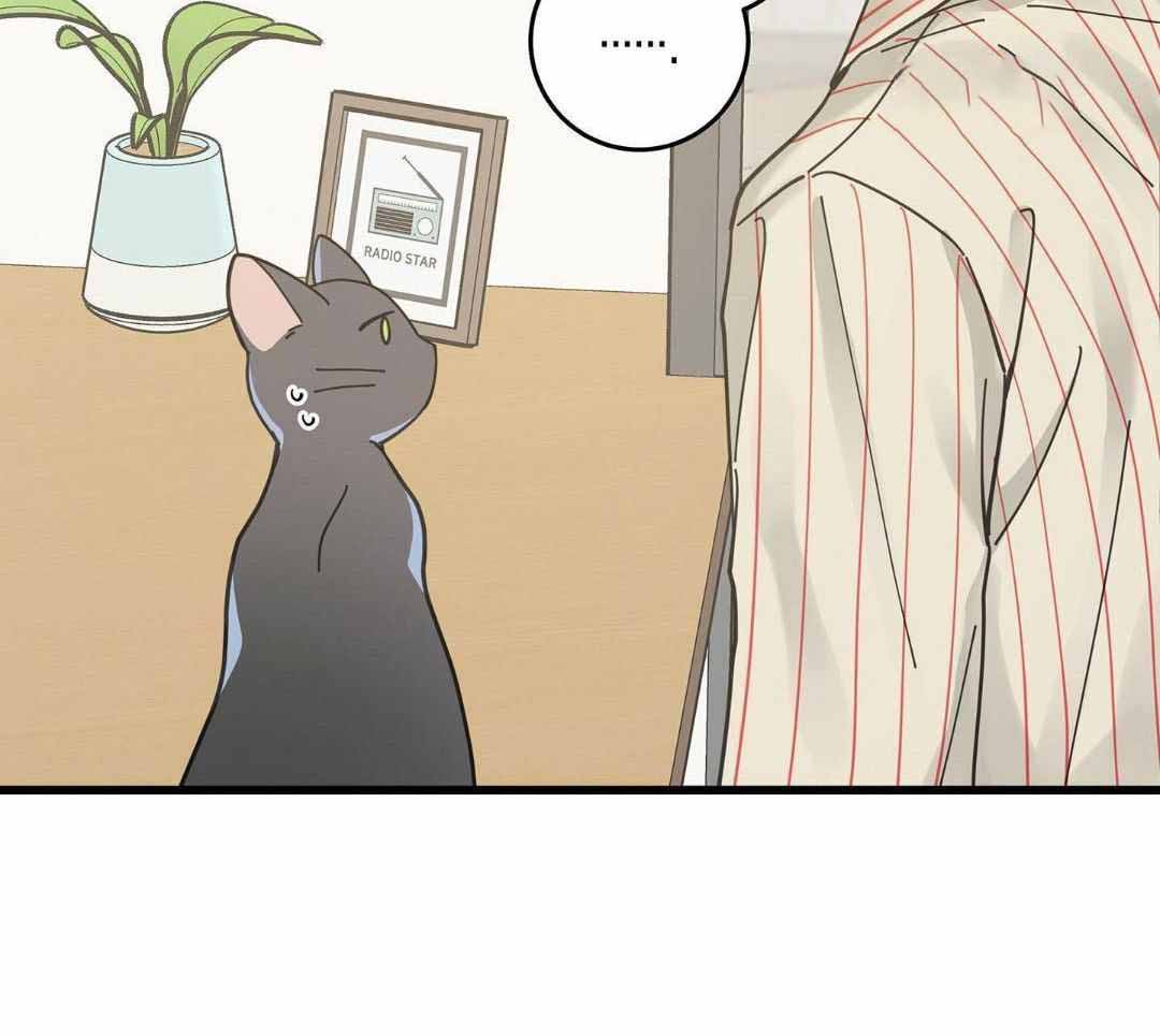 《我唯一的猫猫》漫画最新章节第58话免费下拉式在线观看章节第【35】张图片