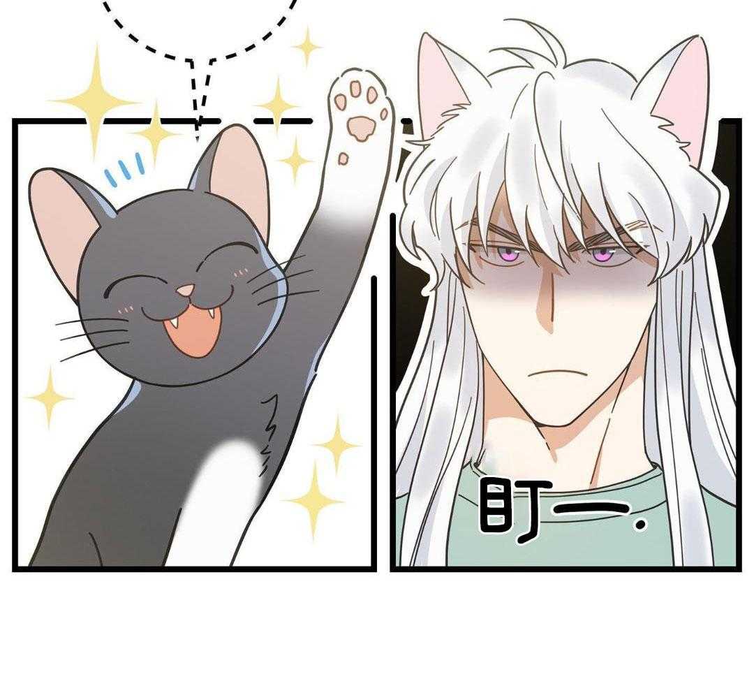 《我唯一的猫猫》漫画最新章节第47话免费下拉式在线观看章节第【60】张图片