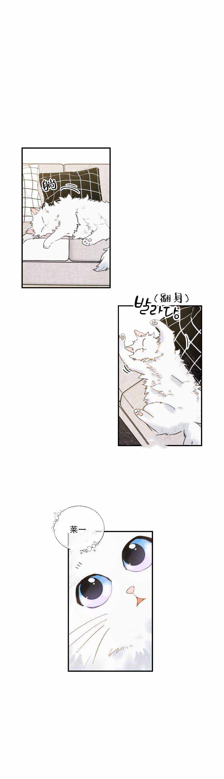 《我唯一的猫猫》漫画最新章节第4话免费下拉式在线观看章节第【5】张图片