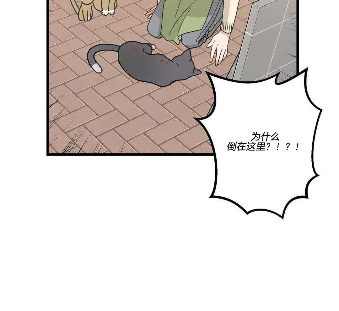 《我唯一的猫猫》漫画最新章节第34话免费下拉式在线观看章节第【25】张图片