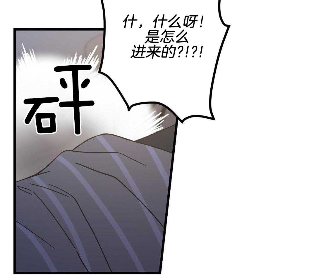 《我唯一的猫猫》漫画最新章节第41话免费下拉式在线观看章节第【29】张图片