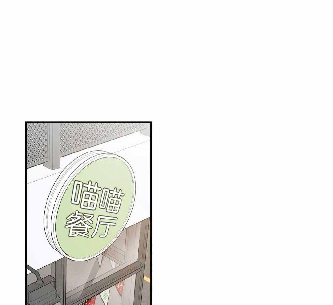 《我唯一的猫猫》漫画最新章节第49话免费下拉式在线观看章节第【37】张图片