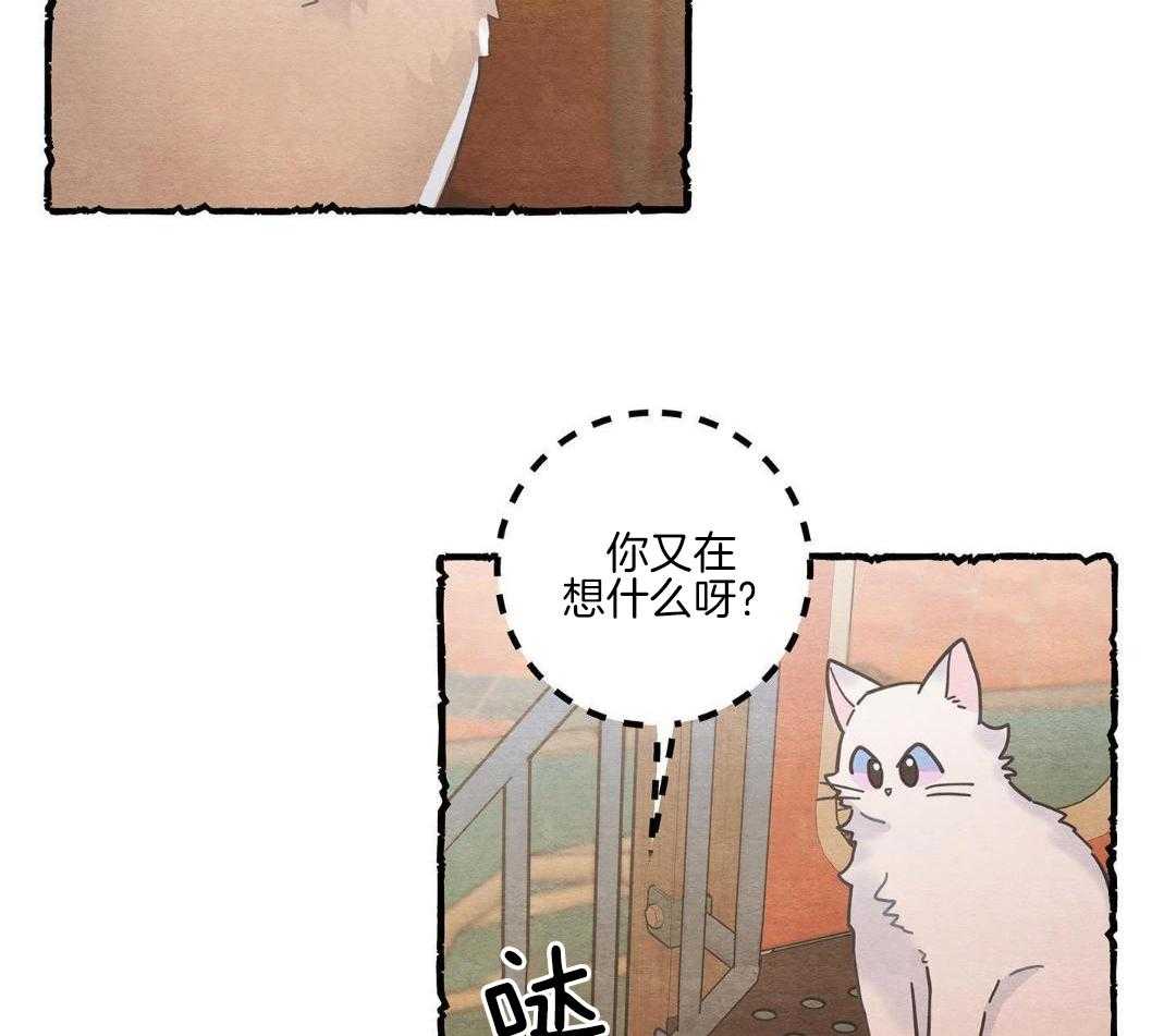 《我唯一的猫猫》漫画最新章节第41话免费下拉式在线观看章节第【14】张图片