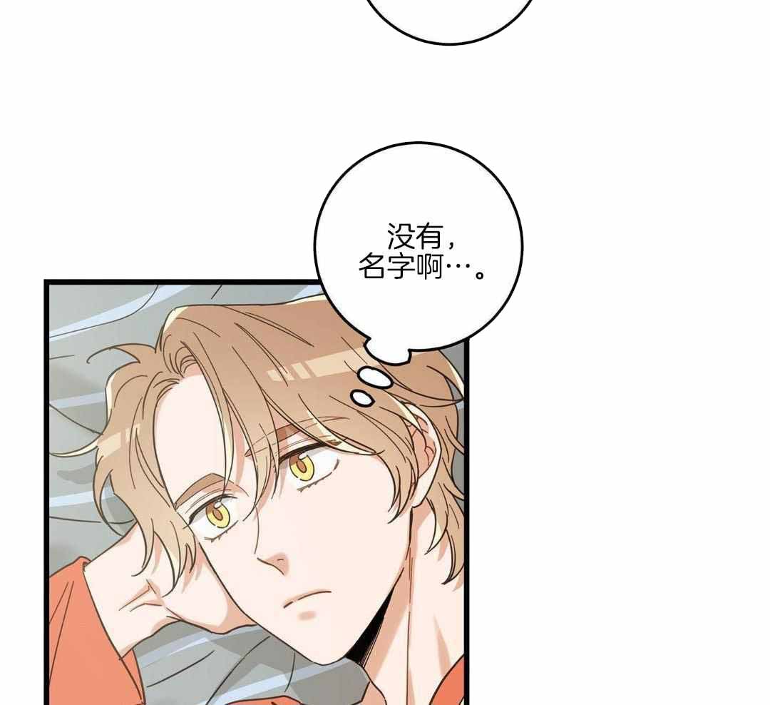 《我唯一的猫猫》漫画最新章节第45话免费下拉式在线观看章节第【25】张图片