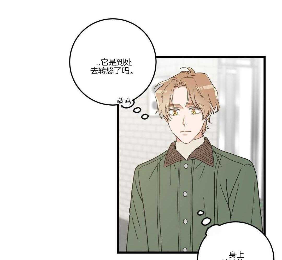 《我唯一的猫猫》漫画最新章节第32话免费下拉式在线观看章节第【33】张图片