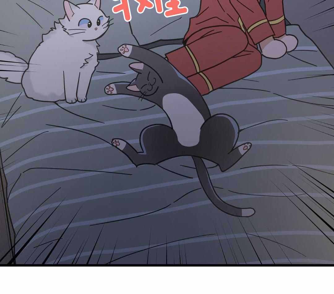 《我唯一的猫猫》漫画最新章节第41话免费下拉式在线观看章节第【39】张图片