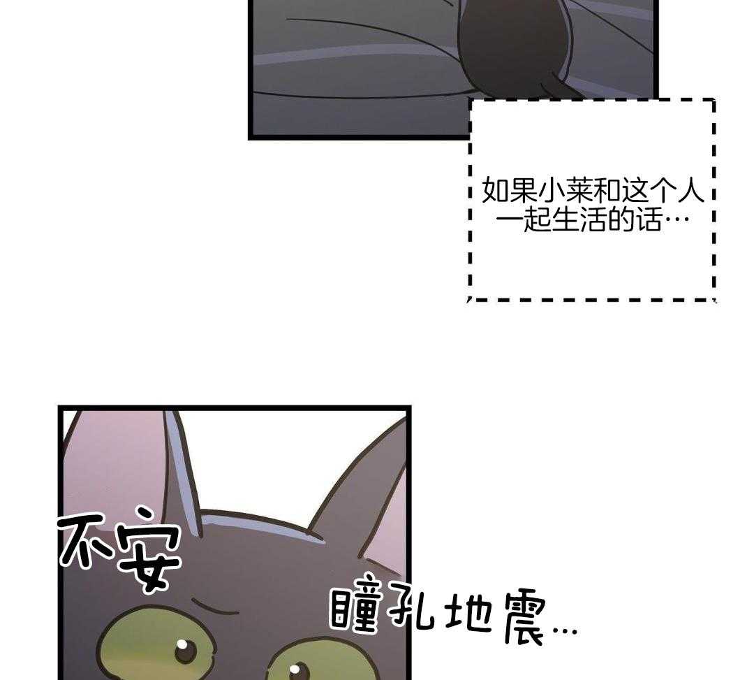 《我唯一的猫猫》漫画最新章节第42话免费下拉式在线观看章节第【22】张图片