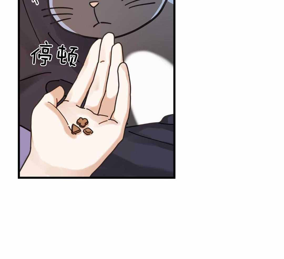 《我唯一的猫猫》漫画最新章节第57话免费下拉式在线观看章节第【36】张图片