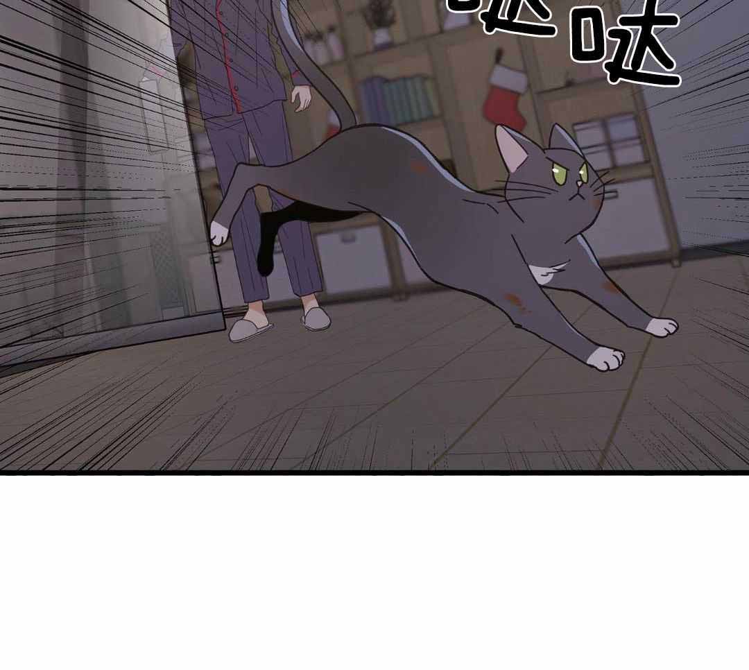 《我唯一的猫猫》漫画最新章节第36话免费下拉式在线观看章节第【38】张图片