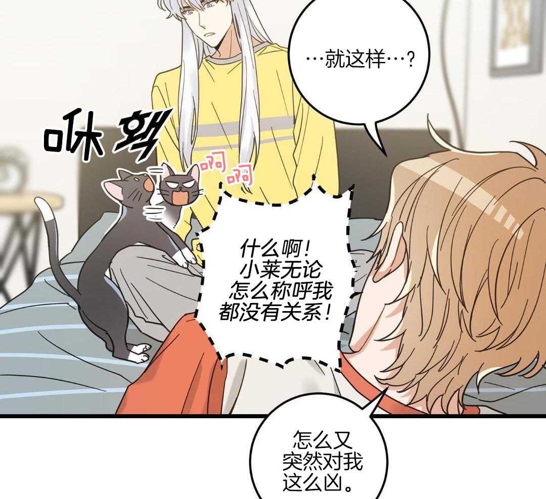 《我唯一的猫猫》漫画最新章节第45话免费下拉式在线观看章节第【24】张图片