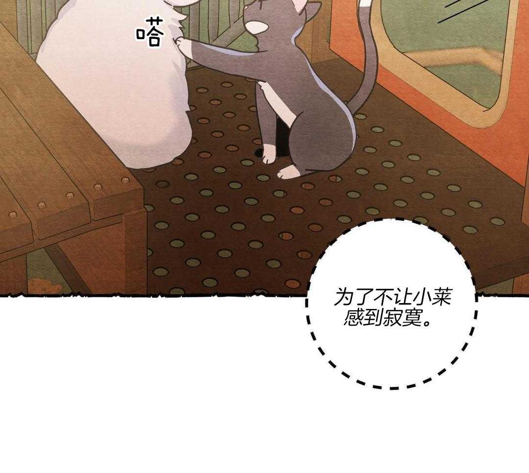 《我唯一的猫猫》漫画最新章节第41话免费下拉式在线观看章节第【20】张图片