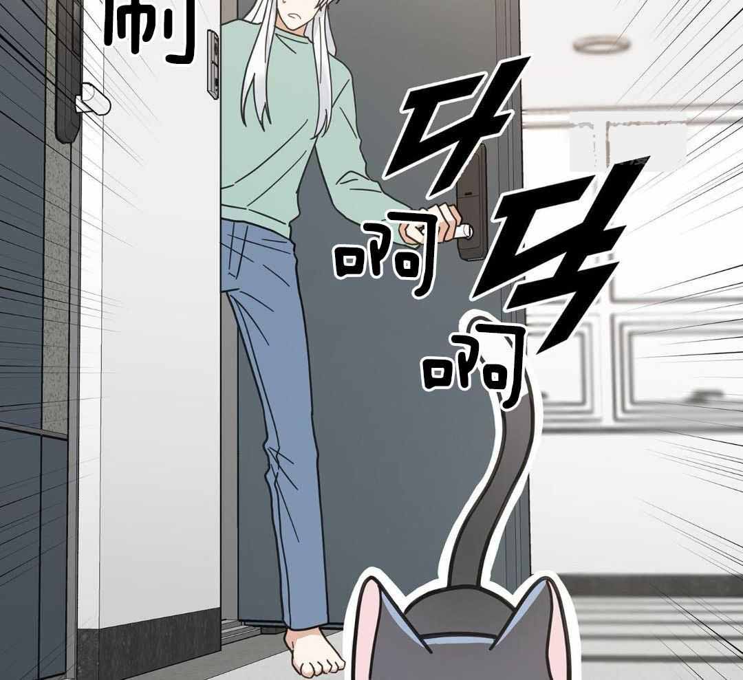 《我唯一的猫猫》漫画最新章节第46话免费下拉式在线观看章节第【17】张图片