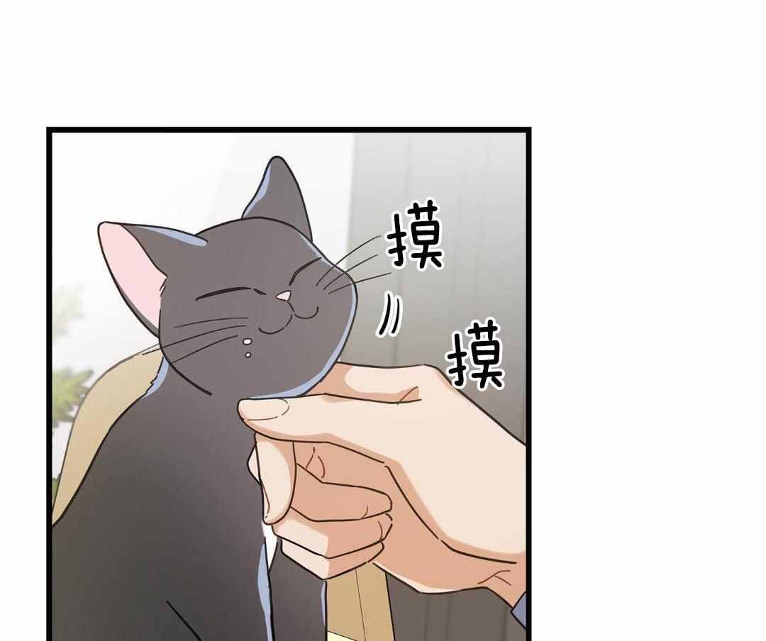 《我唯一的猫猫》漫画最新章节第47话免费下拉式在线观看章节第【21】张图片