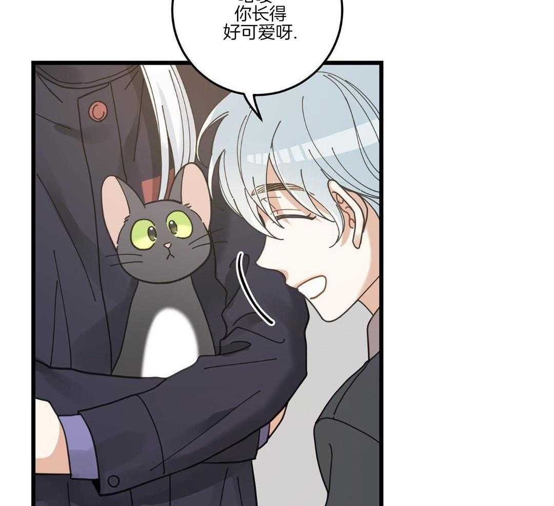 《我唯一的猫猫》漫画最新章节第57话免费下拉式在线观看章节第【29】张图片