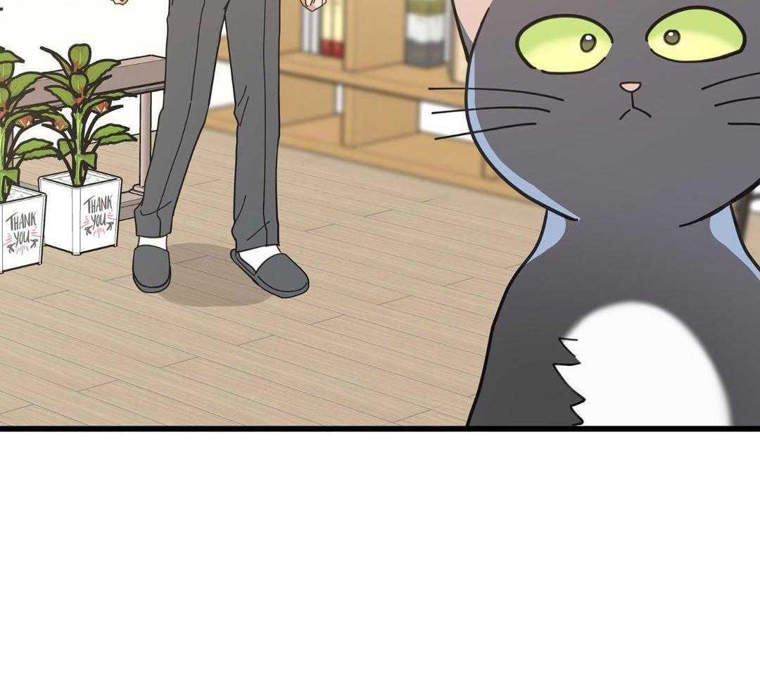 《我唯一的猫猫》漫画最新章节第58话免费下拉式在线观看章节第【28】张图片