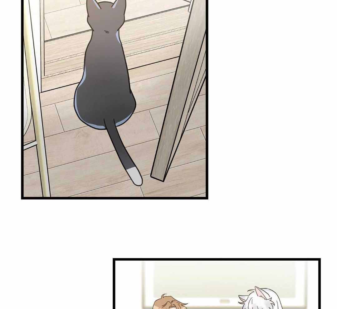 《我唯一的猫猫》漫画最新章节第43话免费下拉式在线观看章节第【13】张图片