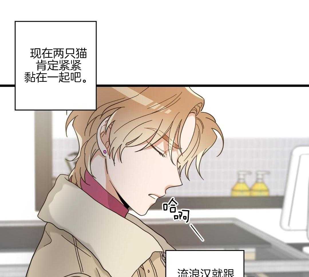 《我唯一的猫猫》漫画最新章节第44话免费下拉式在线观看章节第【16】张图片