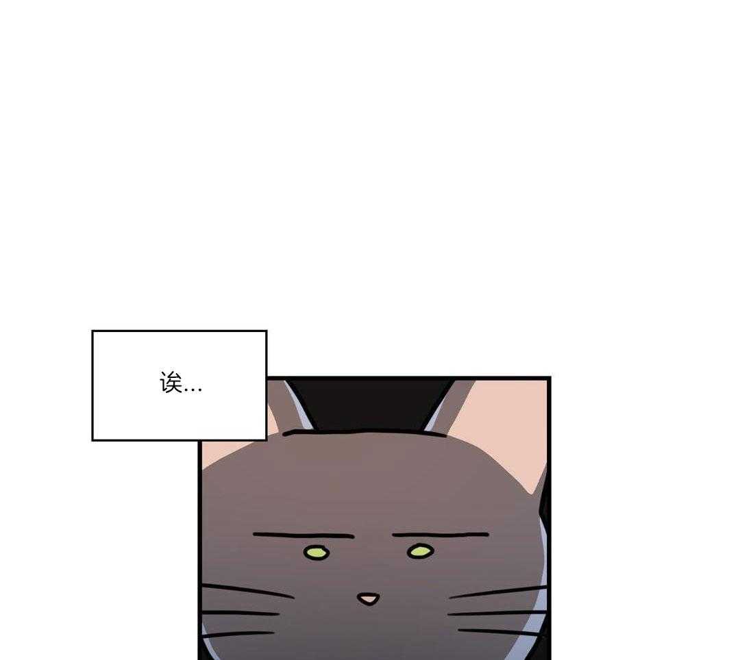 《我唯一的猫猫》漫画最新章节第56话免费下拉式在线观看章节第【40】张图片