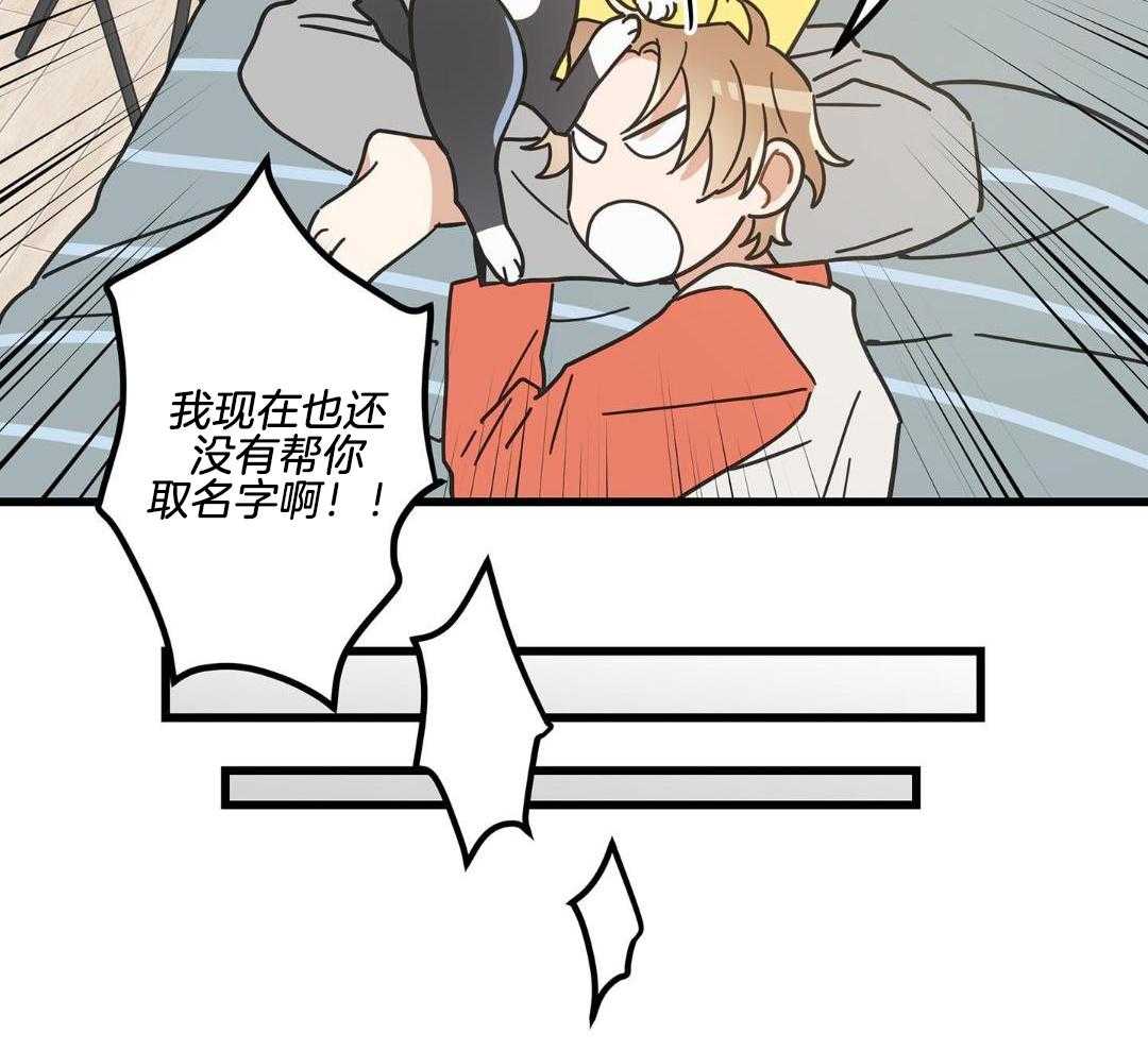 《我唯一的猫猫》漫画最新章节第45话免费下拉式在线观看章节第【36】张图片