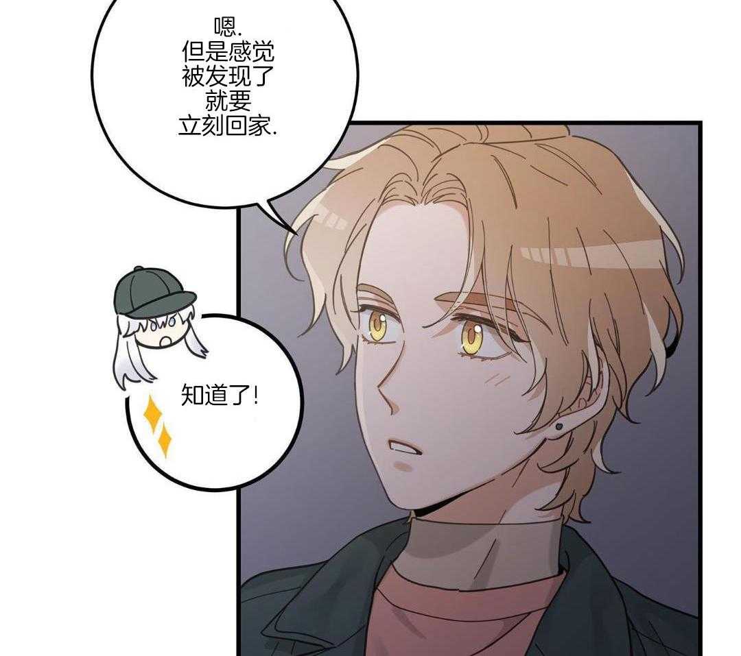 《我唯一的猫猫》漫画最新章节第55话免费下拉式在线观看章节第【30】张图片