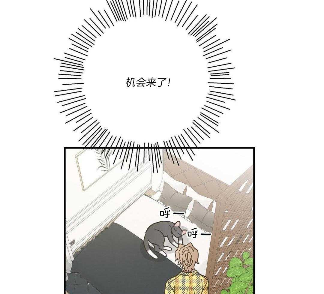 《我唯一的猫猫》漫画最新章节第50话免费下拉式在线观看章节第【32】张图片