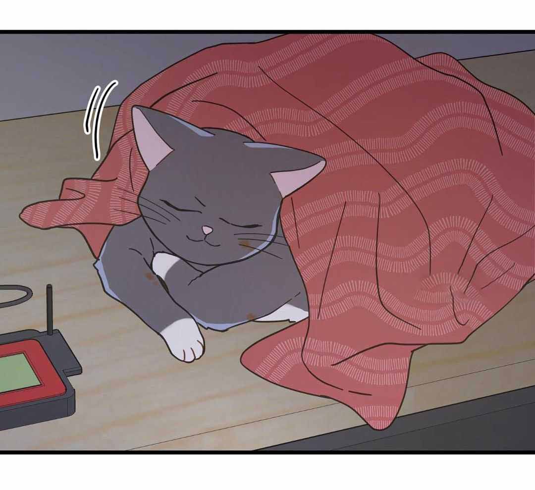 《我唯一的猫猫》漫画最新章节第37话免费下拉式在线观看章节第【19】张图片