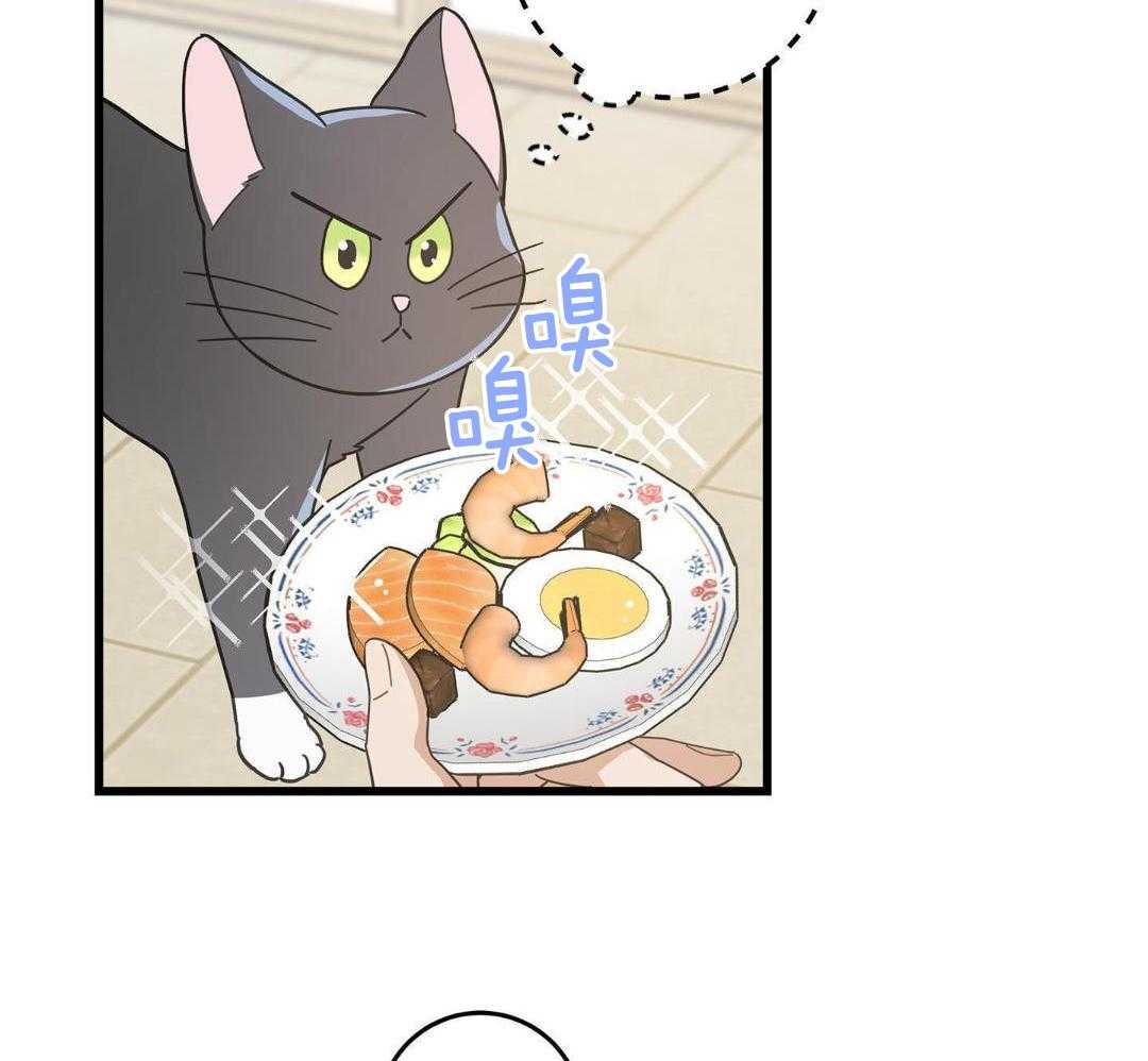 《我唯一的猫猫》漫画最新章节第47话免费下拉式在线观看章节第【13】张图片