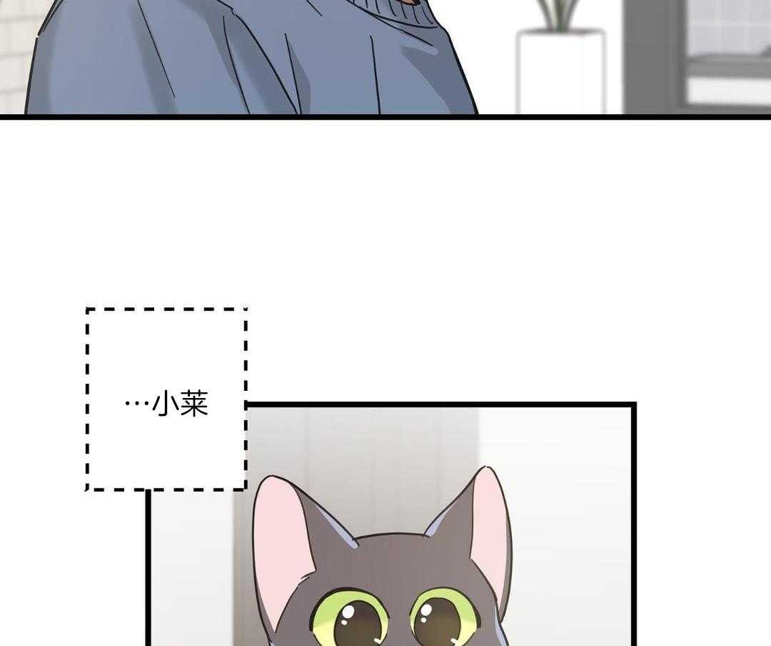 《我唯一的猫猫》漫画最新章节第47话免费下拉式在线观看章节第【26】张图片