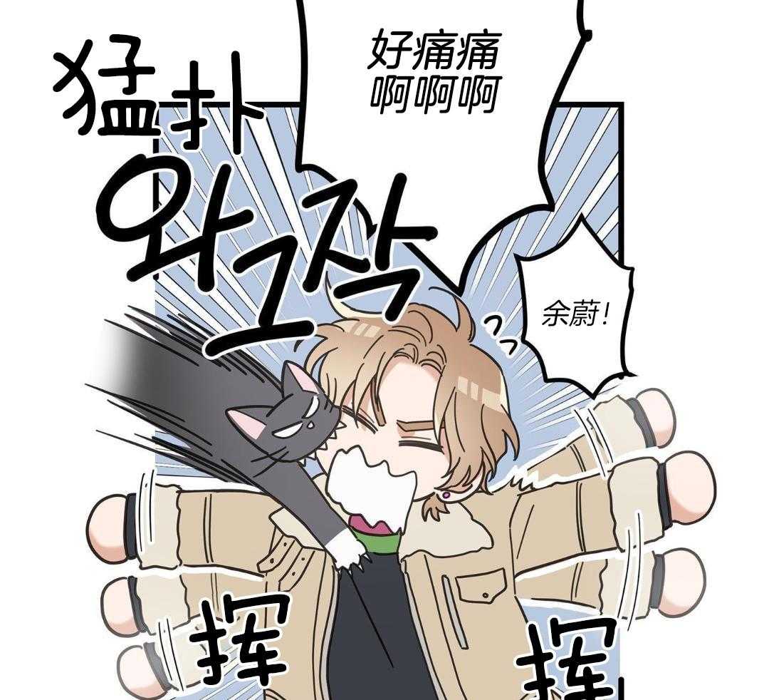 《我唯一的猫猫》漫画最新章节第43话免费下拉式在线观看章节第【29】张图片