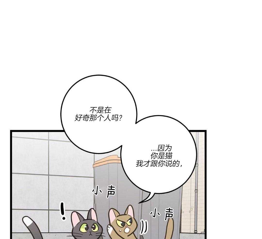 《我唯一的猫猫》漫画最新章节第33话免费下拉式在线观看章节第【38】张图片