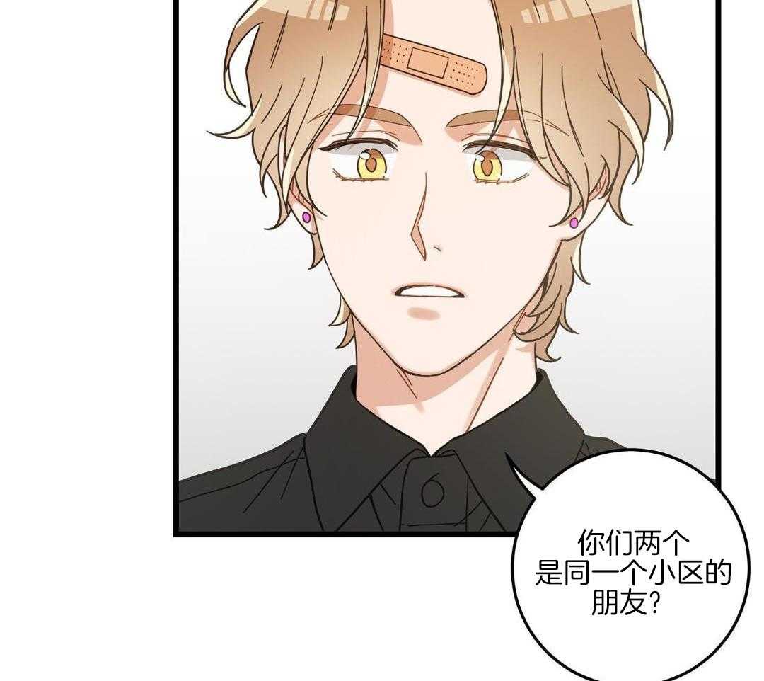 《我唯一的猫猫》漫画最新章节第40话免费下拉式在线观看章节第【3】张图片