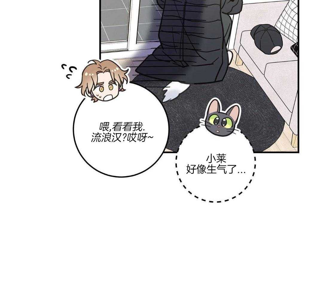 《我唯一的猫猫》漫画最新章节第49话免费下拉式在线观看章节第【25】张图片