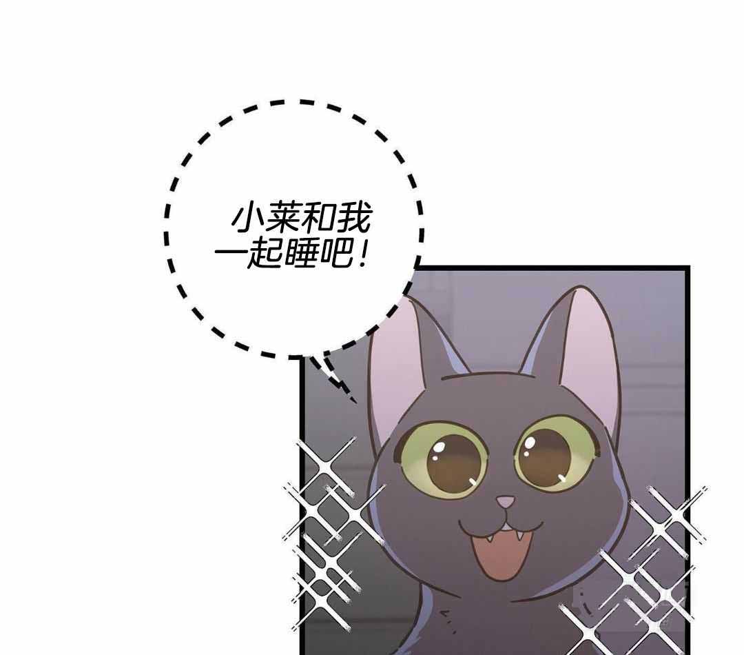 《我唯一的猫猫》漫画最新章节第41话免费下拉式在线观看章节第【37】张图片