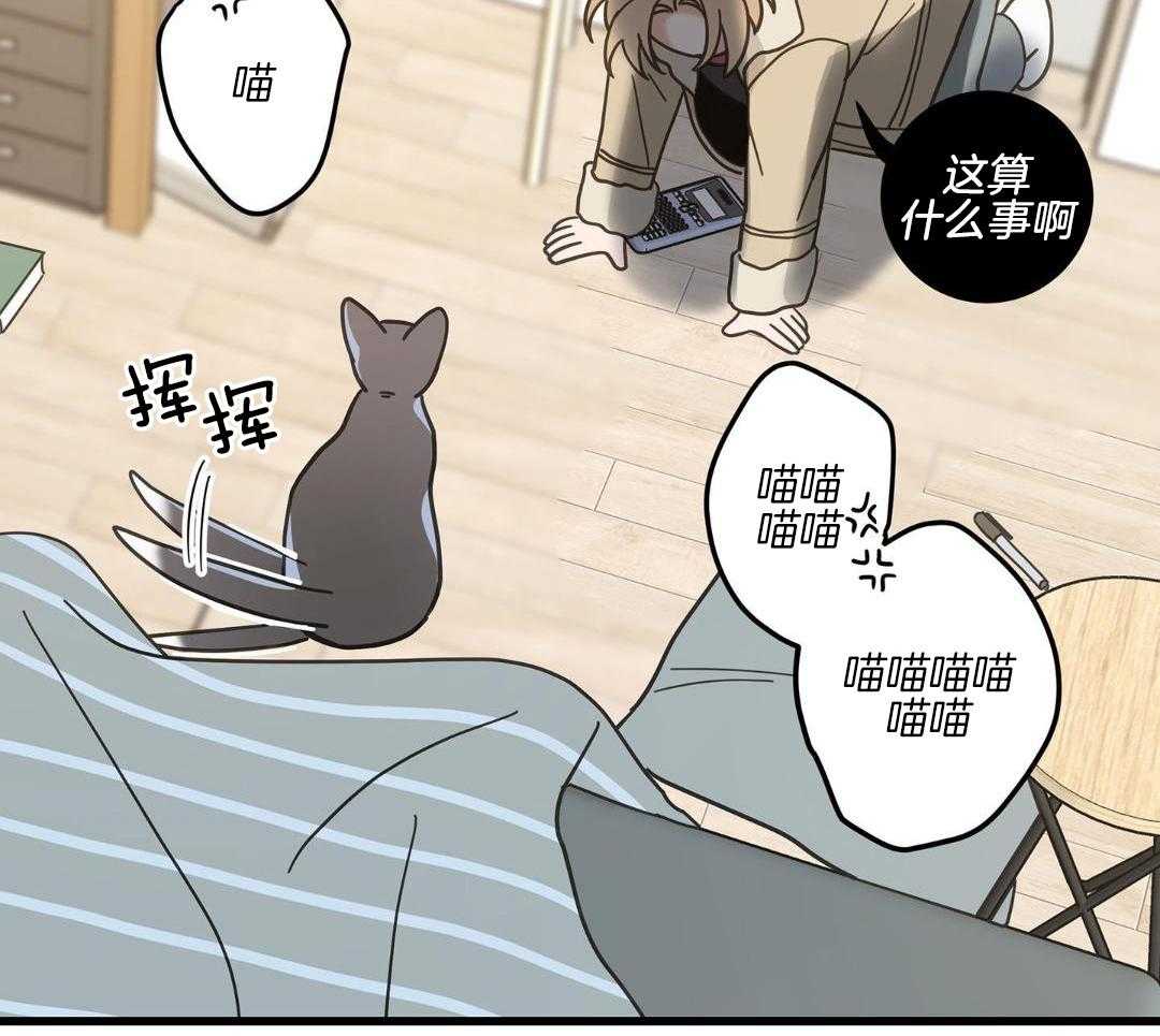 《我唯一的猫猫》漫画最新章节第45话免费下拉式在线观看章节第【11】张图片